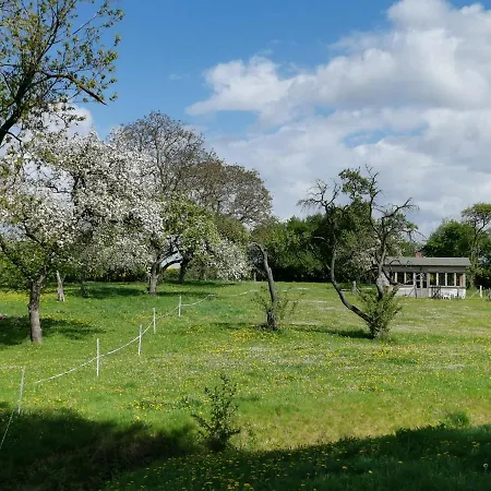 Gutshaus Thorstorf Boltenhagen Eg Und Tiefpaterre Διαμέρισμα *