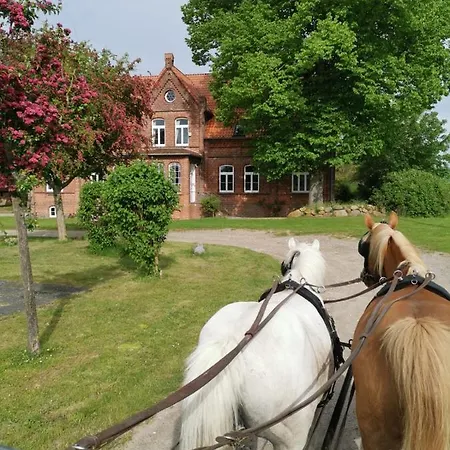 Gutshaus Thorstorf Boltenhagen Eg Und Tiefpaterre Apartman Warnow