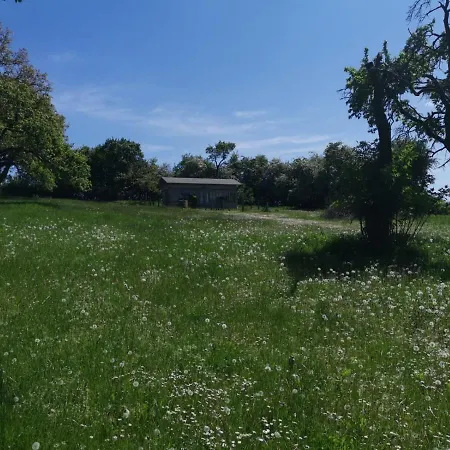 Διαμέρισμα Gutshaus Thorstorf Boltenhagen Eg Und Tiefpaterre