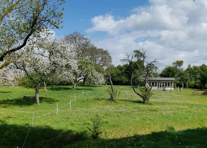 Gutshaus Thorstorf Boltenhagen Eg Und Tiefpaterre Appartamento *