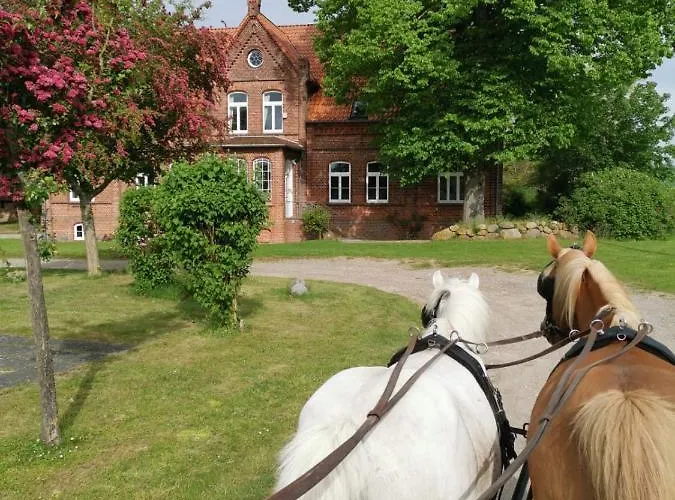 Gutshaus Thorstorf Boltenhagen Eg Und Tiefpaterre Appartamento Warnow (Nordwestmecklenburg)